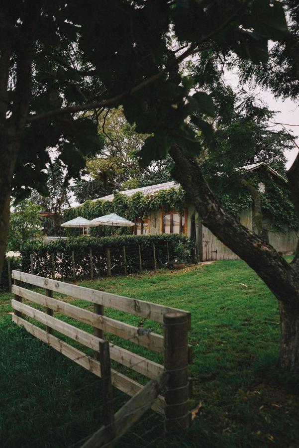 Converted Barn - Tiger House Hermitage Havelock North Esterno foto