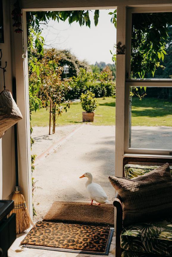 Converted Barn - Tiger House Hermitage Havelock North Esterno foto